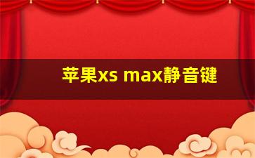 苹果xs max静音键